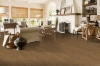Picture of Hartco - Timberbrushed Solid 5 Elk Garden