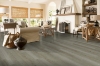 Picture of Hartco - Everguard Classic Plus Beach Grass