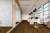 Picture of Hartco - Loose Lay LVT 9 x 60 Garden Party
