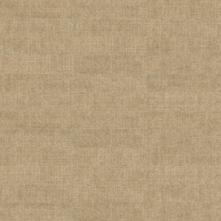 Picture of Shaw Floors - Coded Relate