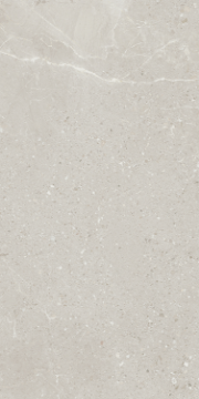 Picture of Eleganza Tiles - Monza 24 x 48 Wind