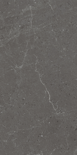 Picture of Eleganza Tiles - Monza 24 x 48 Coal