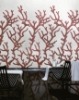 Picture of Bisazza Mosaico - Decori 10 - Corallo Corallo