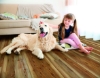 Picture of Global Gem Flooring - Farmstead 7 x 48 Ashley Pine