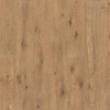Picture of Mohawk - PureTech Premier Woodland Resort Thorny Hedge Oak