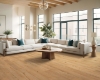 Picture of Mohawk - SolidTech R Select Ashland Crest Marigold