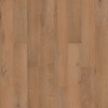 Picture of Mohawk - SolidTech R Select Ashland Crest Phoenix