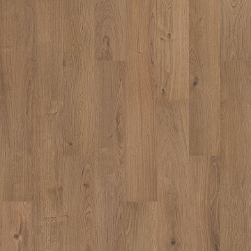 Picture of Mohawk - SolidTech R Select Ashland Crest Fern