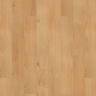 Picture of Mohawk - SolidTech R Select Ashland Crest Ansley