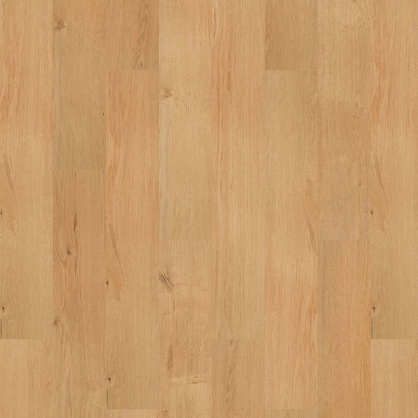 Picture of Mohawk - SolidTech R Select Ashland Crest Ansley