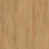 Picture of Mohawk - SolidTech Plus Barker Hollow Daisy