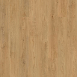 Picture of Mohawk - SolidTech Plus Barker Hollow Daisy