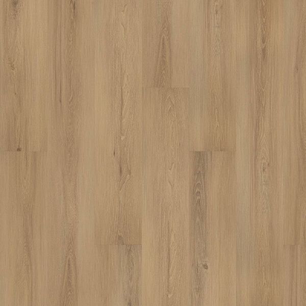 Picture of Mohawk - SolidTech Plus Eastbrook Shoals Candice