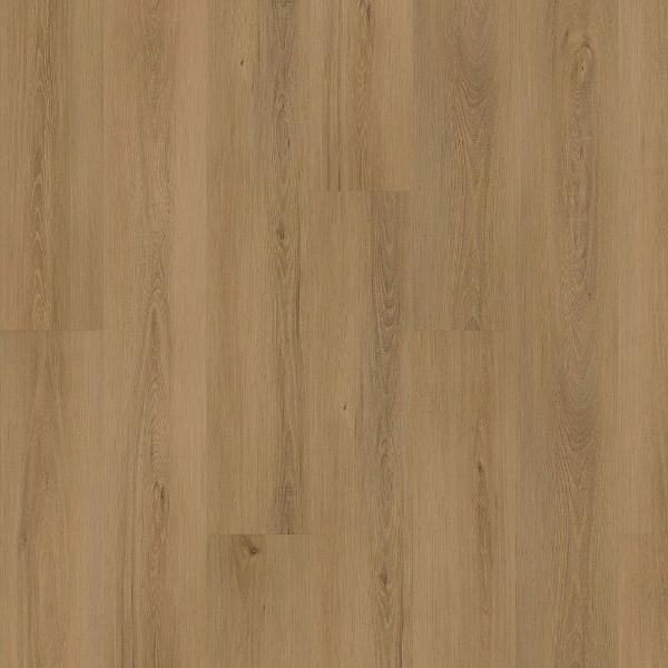 Picture of Mohawk - SolidTech Plus Eastbrook Shoals Laine