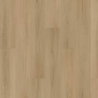 Picture of Mohawk - SolidTech Plus Eastbrook Shoals Hampton