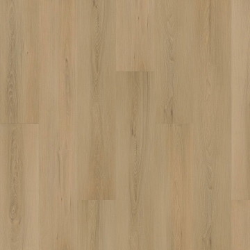 Picture of Mohawk - SolidTech Plus Eastbrook Shoals Hampton