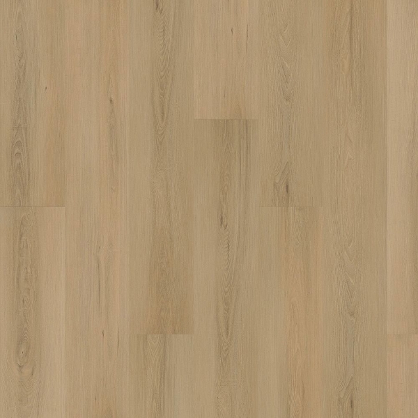 Picture of Mohawk - SolidTech Plus Eastbrook Shoals Hampton
