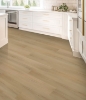 Picture of Mohawk - SolidTech Plus Eastbrook Shoals Hampton