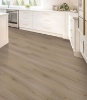 Picture of Mohawk - SolidTech Plus Eastbrook Shoals Milton