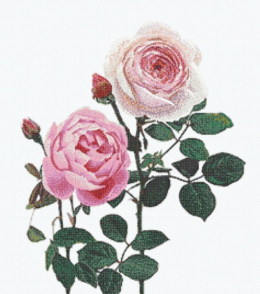 Picture of Bisazza Mosaico - Decori 10 - Malmaison Rosa