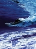 Picture of Bisazza Mosaico - Decori 20 - Zante Blu