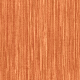 Picture of Shaw Floors - Colorlink 2.5 Zest