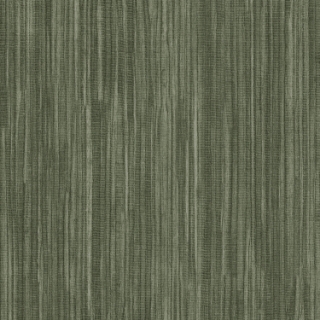 Picture of Shaw Floors - Colorlink 2.5 Explore