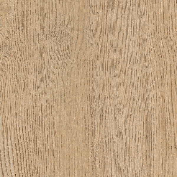 Picture of Gardenia Orchidea - Just Code 10 x 72 Miele