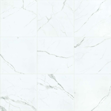 Picture of Shaw Floors - Casino 24 x 24 Polished Statuario