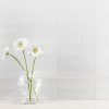 Picture of SOHO Studio Corp - Oldy White