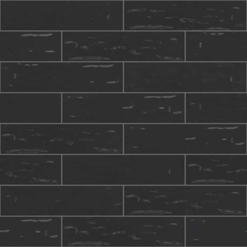 Picture of Shaw Floors - Geoscapes 4 x 16 Black