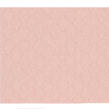 Picture of Shaw Floors - Geoscapes Diamond First Lady Pink
