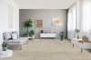 Picture of Elon Tile & Stone - Marble 12 x 24 Crema Marfil Honed