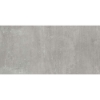 Picture of Milestone - Plus One 12 x 24 Matte Ash