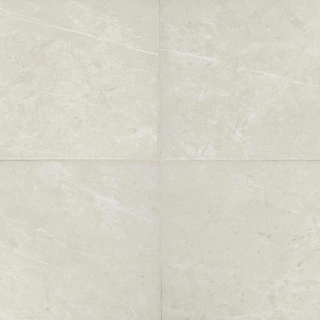 Picture of Daltile - Prime 12 x 12 Vitality White