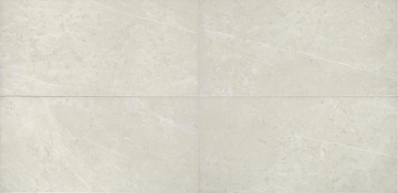 Picture of Daltile - Prime 12 x 24 Vitality White