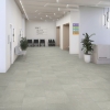 Picture of Daltile - Prime 12 x 24 Vitality White