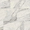 Picture of Milestone - Epic 24 x 24 Polished Apuano