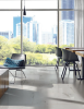 Picture of Milestone - Luxury 24 x 48 Polished 8mm Calacatta