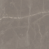 Picture of Milestone - Luxury 12 x 12 Matte Amani Grey