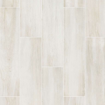 Picture of Shaw Floors - Valentino Action