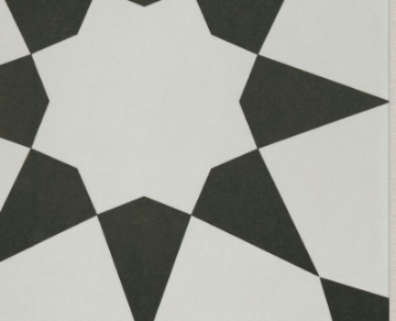 Picture of Shaw Floors - Resurgence Josefina Onyx