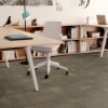Picture of Shaw Floors - Diffuse Strataworx Flutter