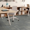 Picture of Shaw Floors - Diffuse Strataworx Passport