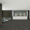 Picture of Shaw Floors - Diffuse Strataworx Routes