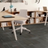 Picture of Shaw Floors - Diffuse Strataworx Routes