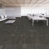 Picture of Shaw Floors - Diffuse Strataworx Routes
