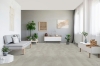 Picture of Elon Tile & Stone - Nuance 12 x 24 White Shell Semi-Polished