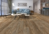 Picture of Aquashield - Plus Worn Ash