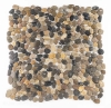 Picture of Elon Tile & Stone - Cobblestones Prairie